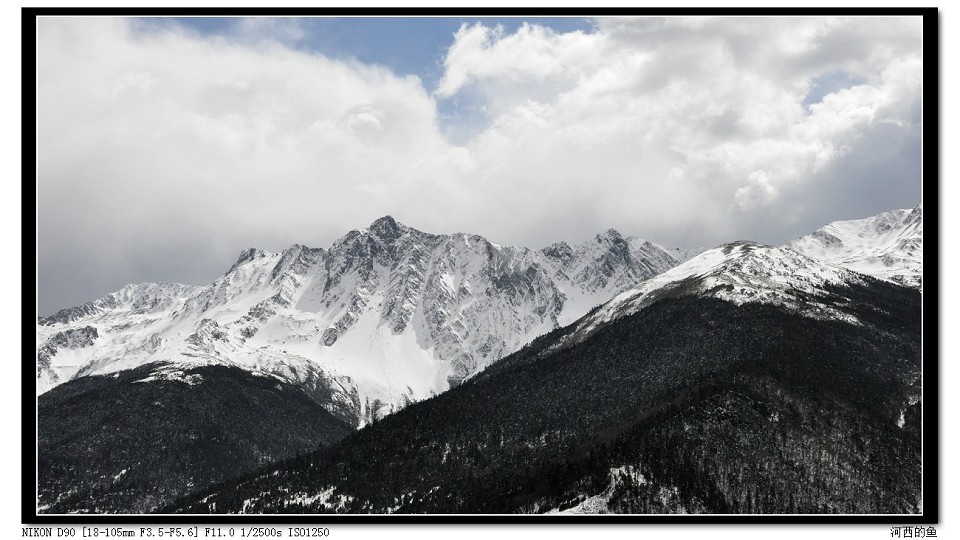 DSC_0147.jpg