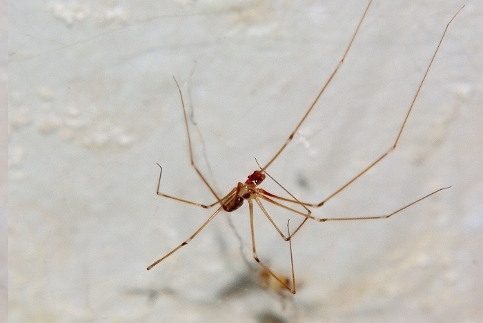 SG104766s.jpg