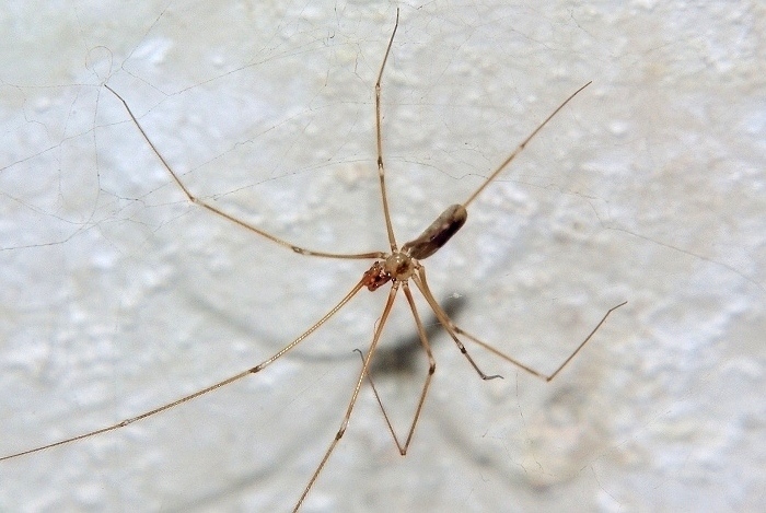 SG104768s.jpg
