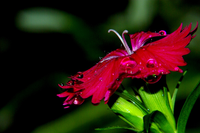 SG104806.JPG