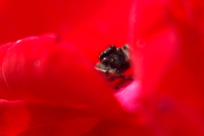 SG104940.JPG