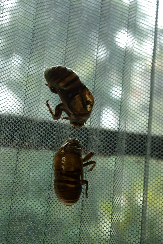 SG106473.JPG