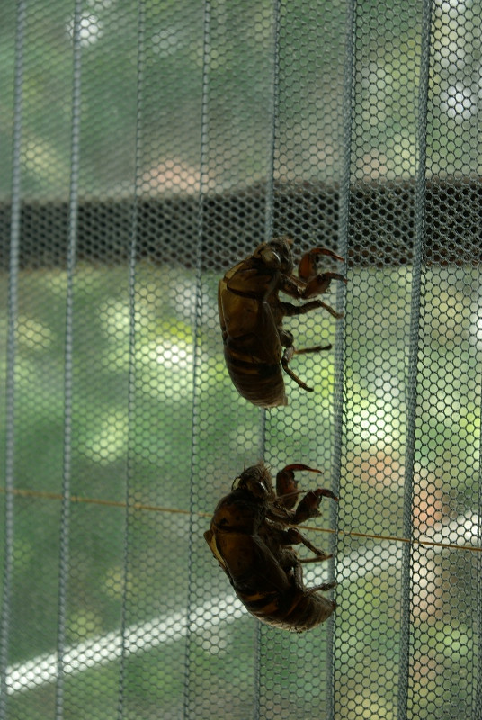SG106469.JPG