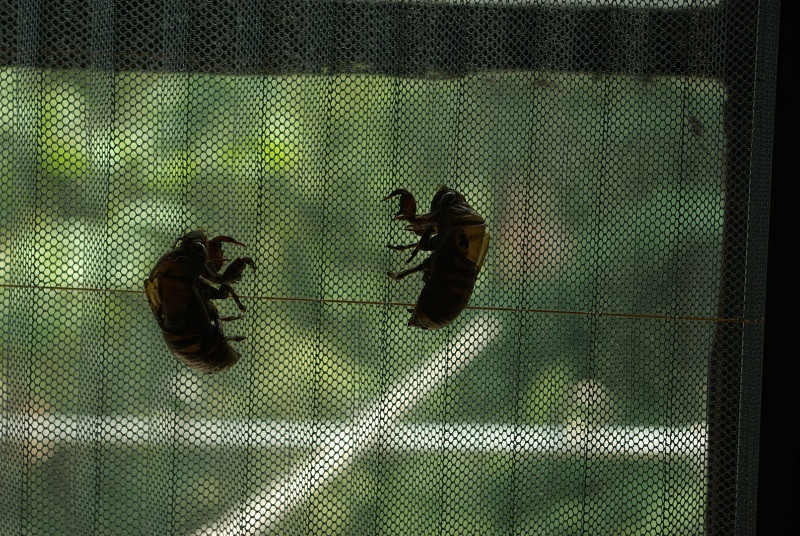 SG106466.JPG
