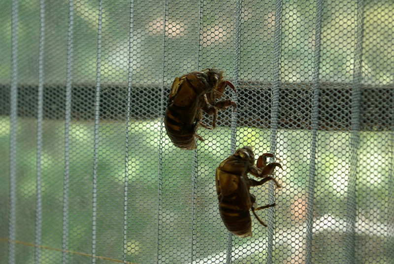SG106470.JPG