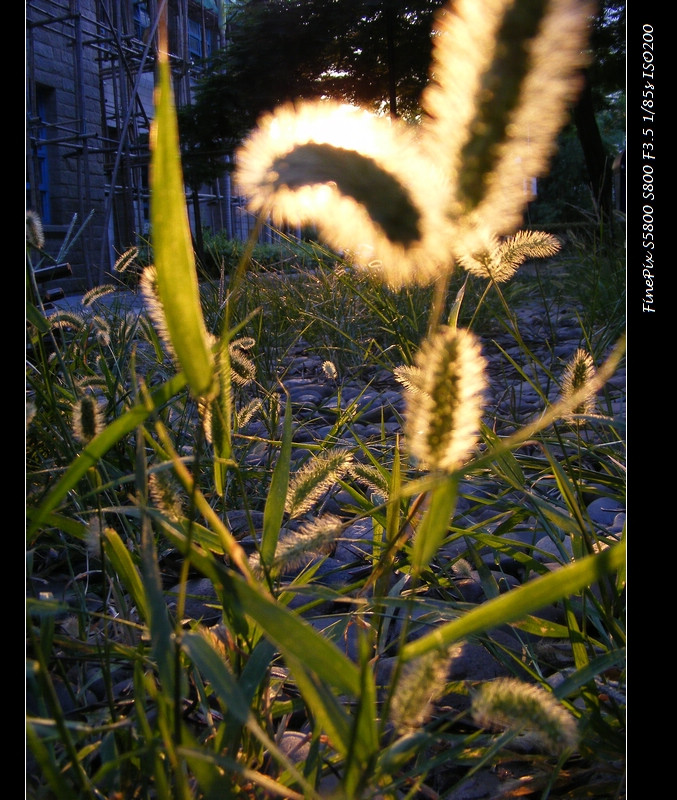 DSCF7556.JPG