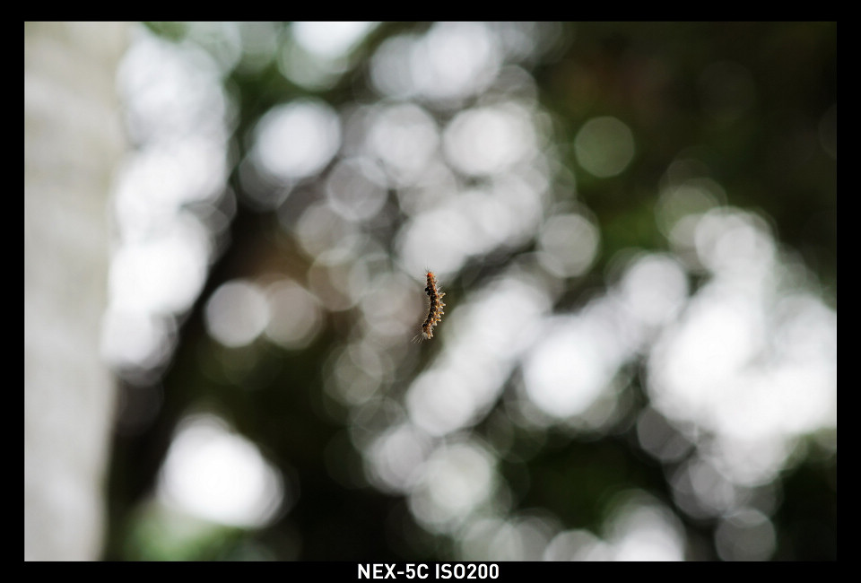 DSC00906_调整大小.jpg