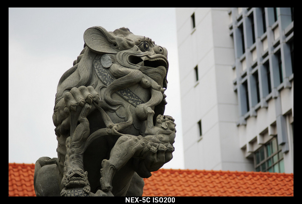 DSC00901_调整大小.JPG