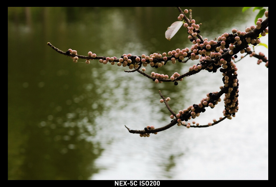 DSC00893_调整大小.jpg