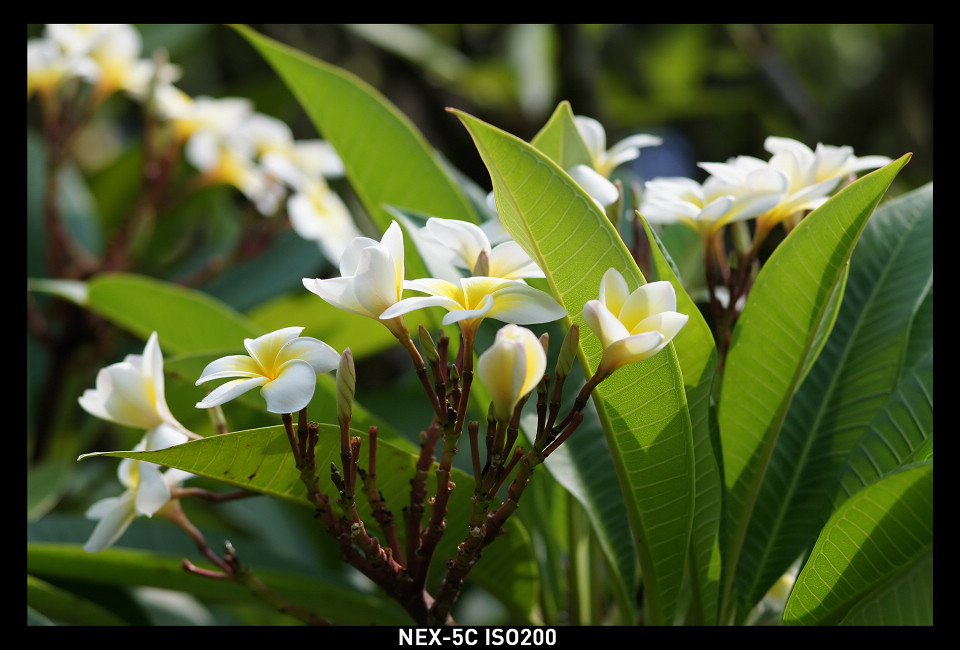 DSC00910_调整大小.jpg