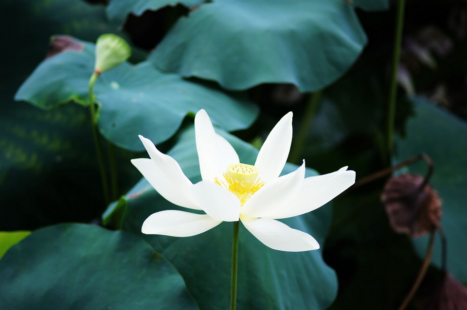 DSC00756_调整大小.jpg