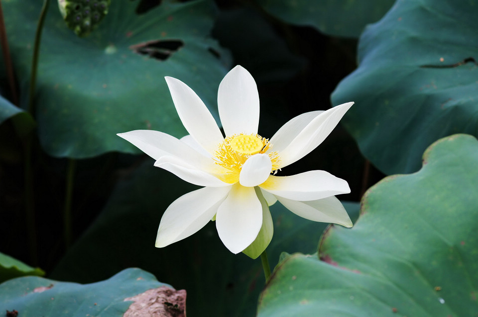 DSC00763_调整大小.JPG
