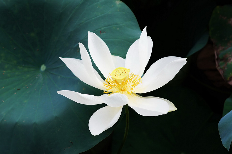 DSC00765_调整大小.JPG