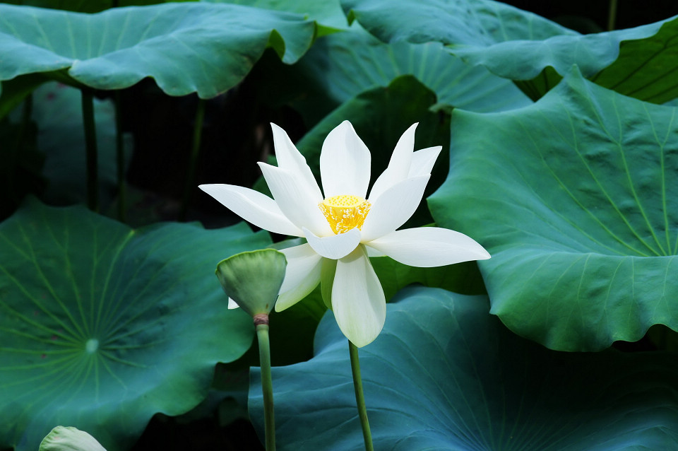 DSC00772_调整大小.JPG