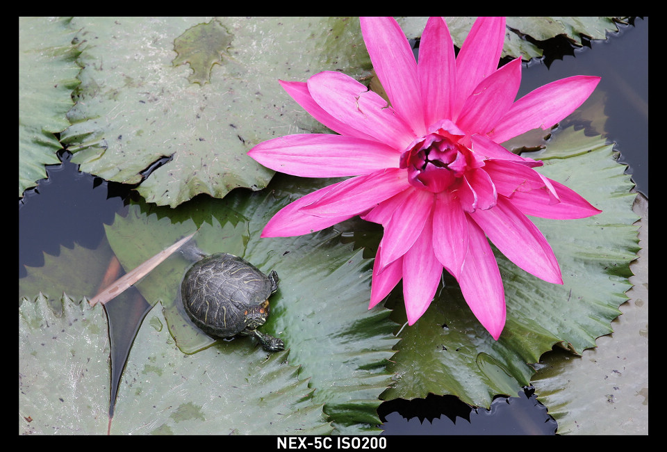 DSC00832_调整大小.JPG