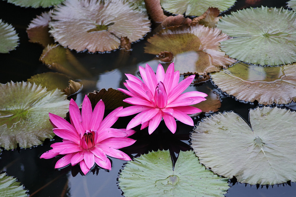 DSC00754_调整大小.JPG