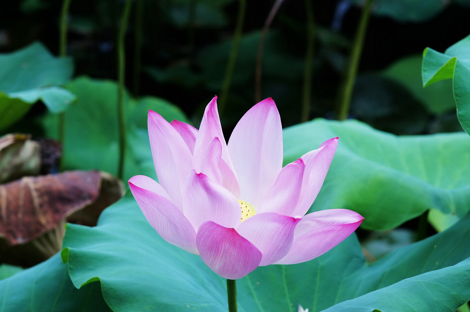 DSC00770_调整大小.JPG