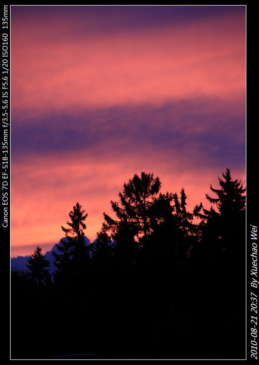 _MG_1631.jpg