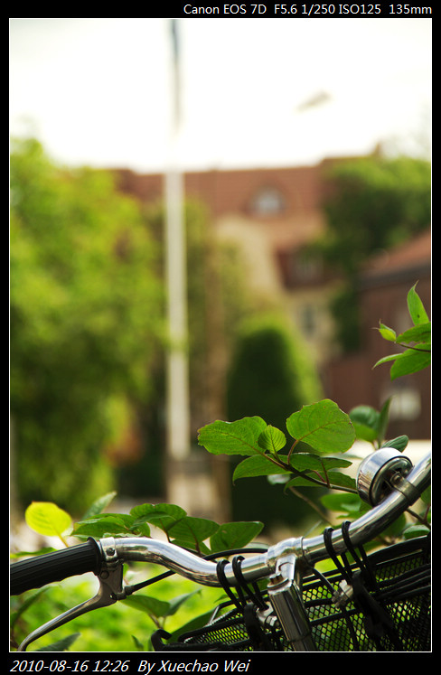 _MG_1420.jpg
