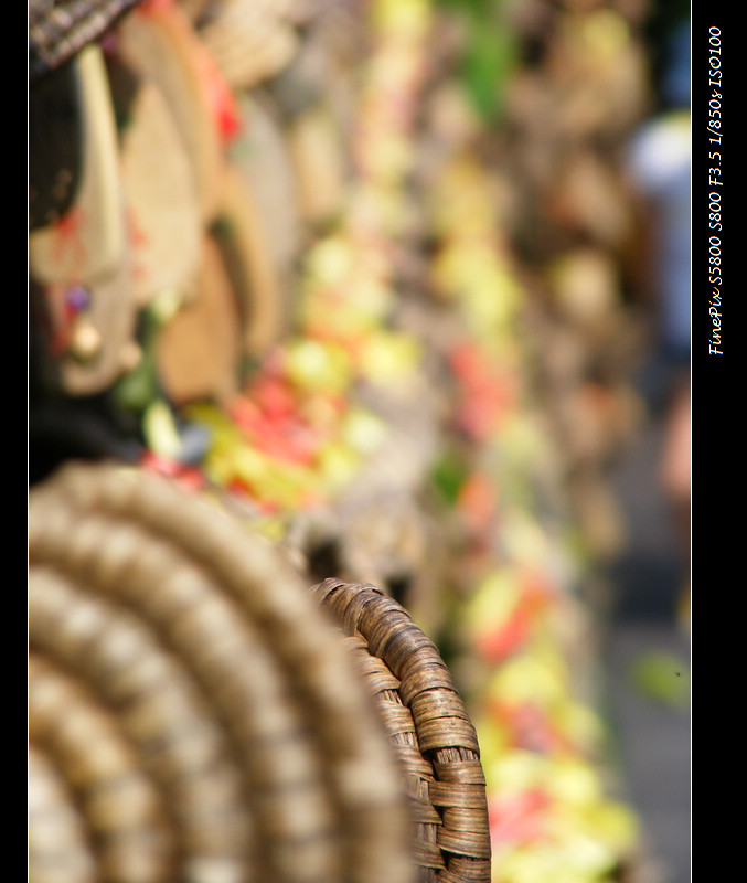 DSCF8530.JPG