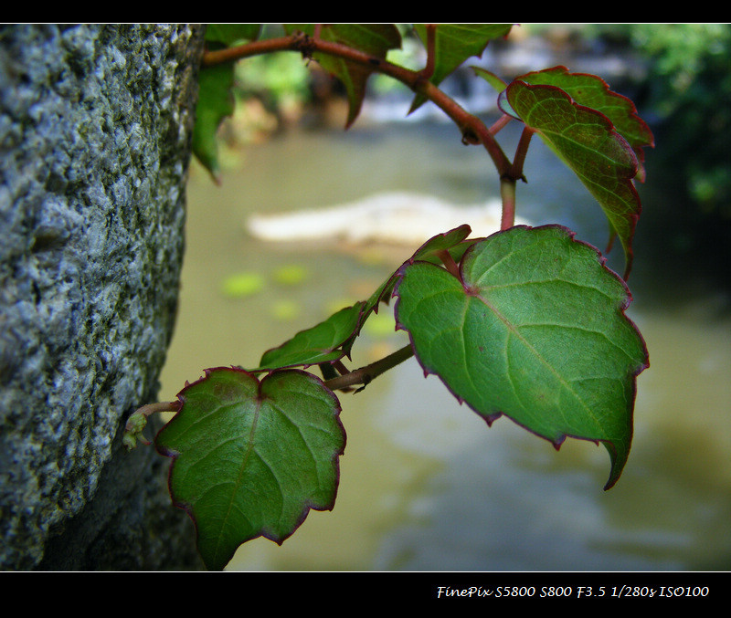 DSCF8599.JPG