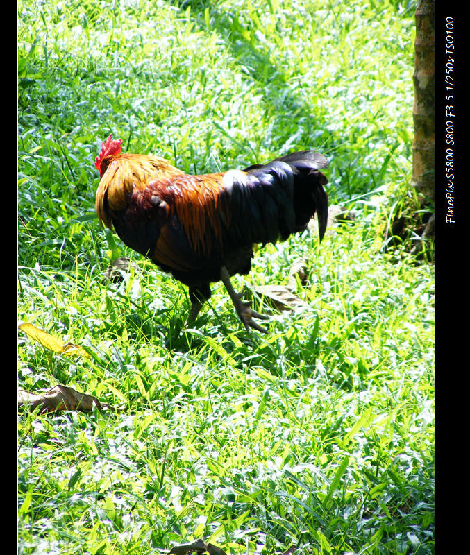 DSCF8614.JPG