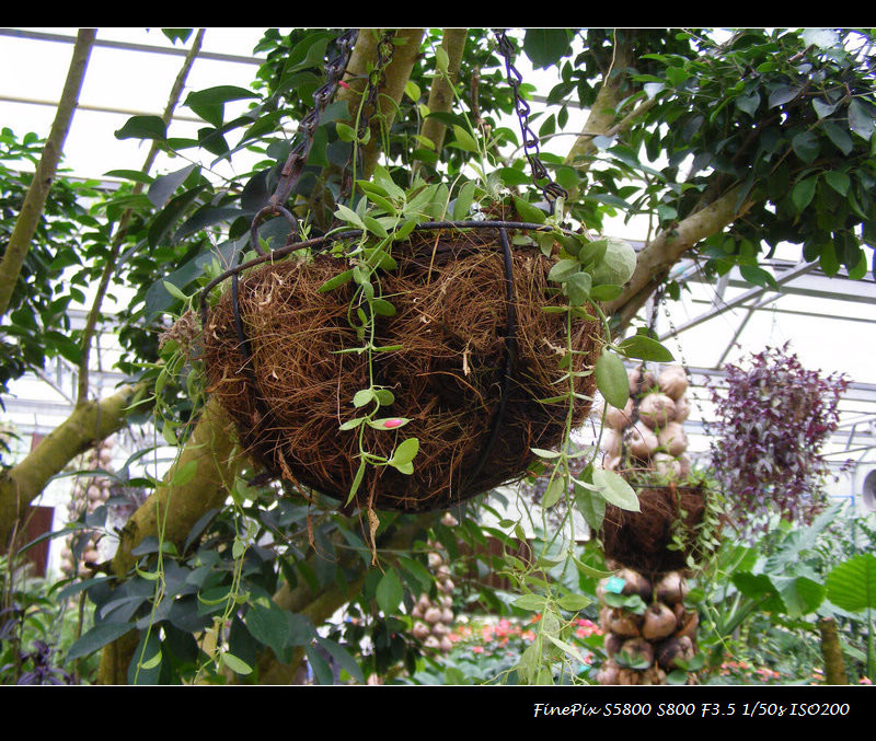 DSCF7776.JPG