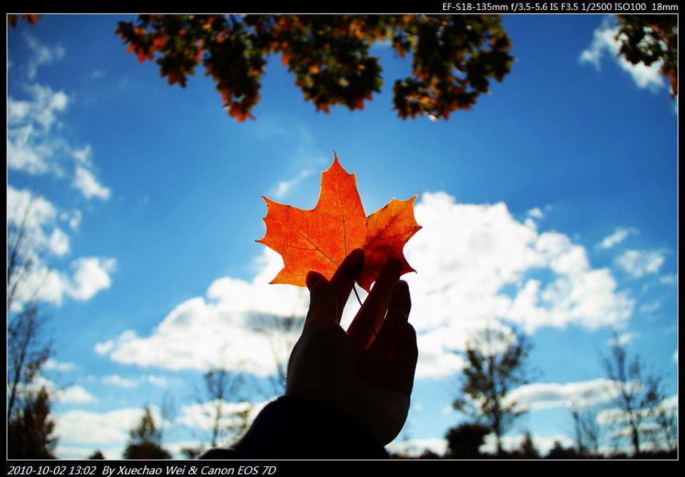 _MG_2404.jpg