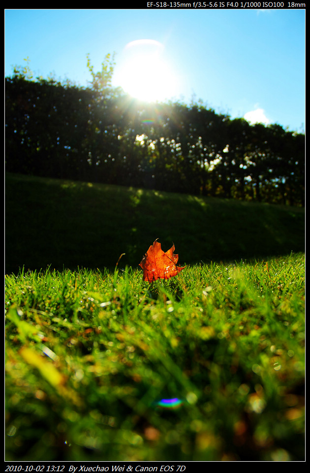 _MG_2424.jpg