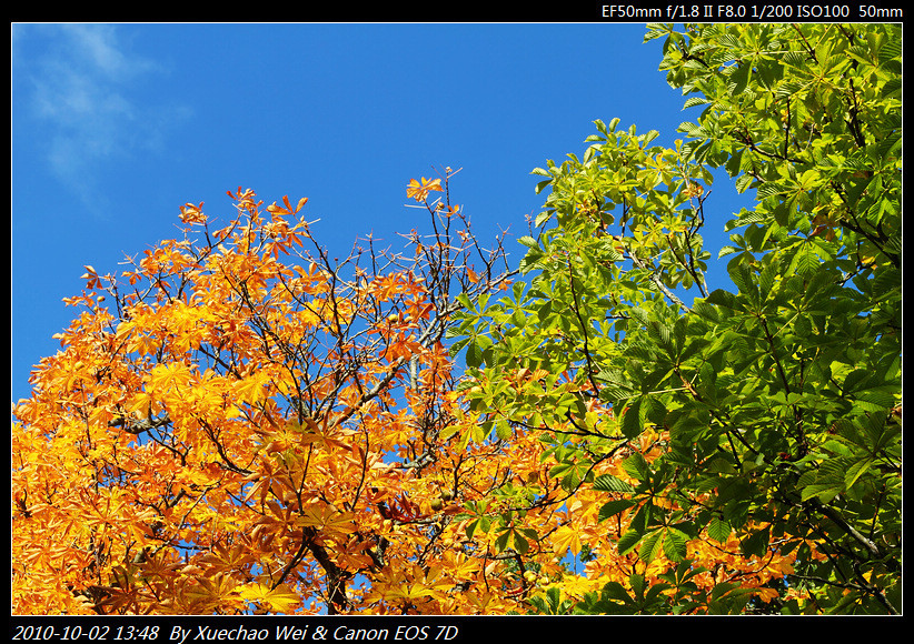 _MG_2499.jpg