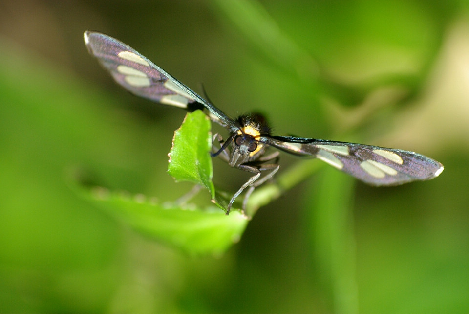 SG107347.JPG