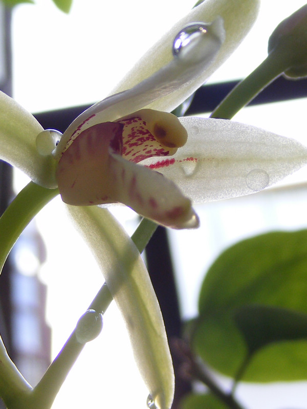 DSCF9707.JPG