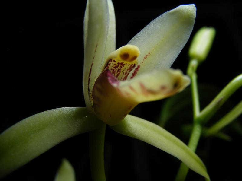 DSCF9712.JPG