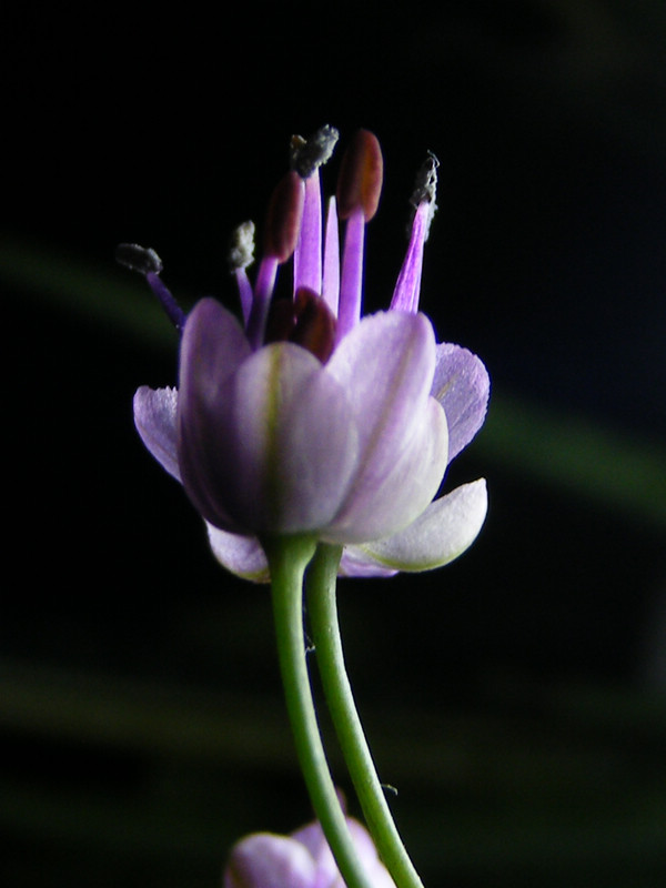 DSCF9746.JPG