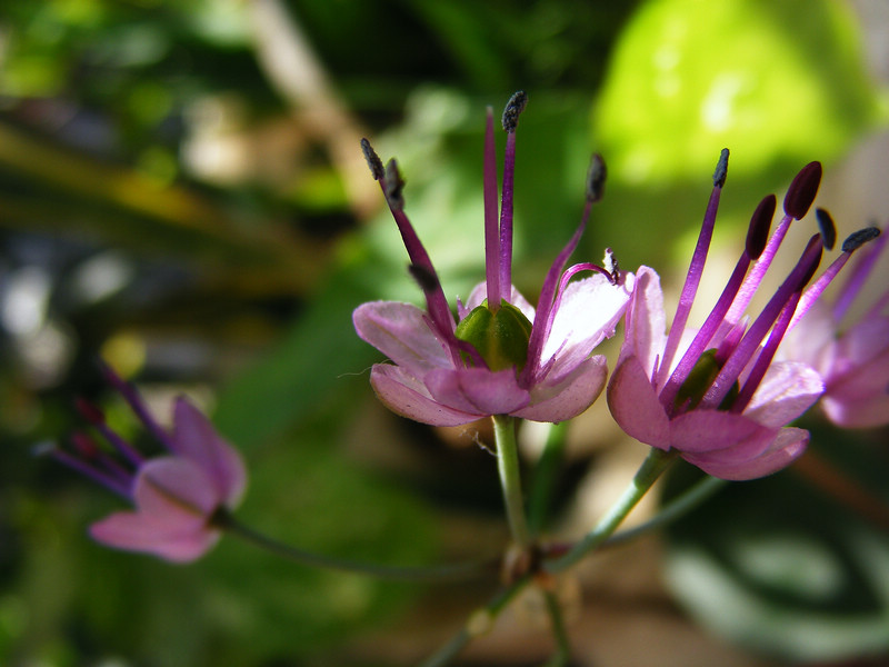 DSCF9776.JPG