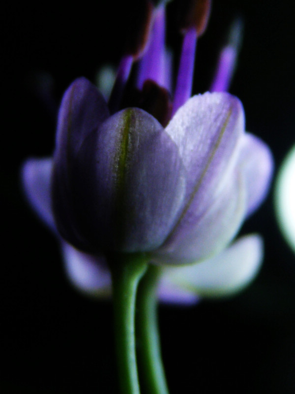 DSCF9745.JPG