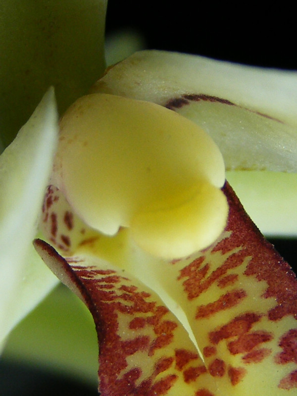 DSCF9726.JPG