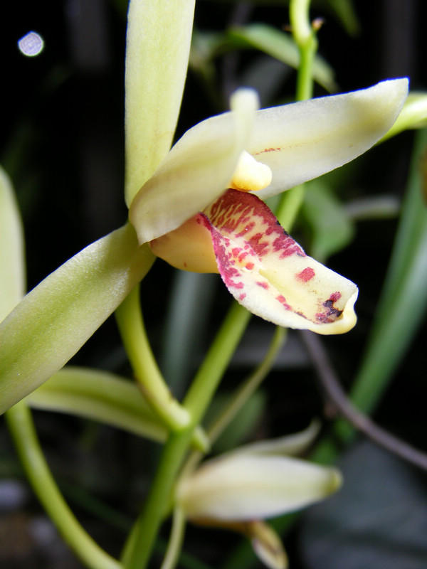 DSCF9716.JPG
