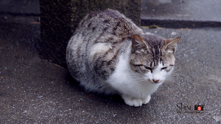 DSC03787_调整大小.jpg