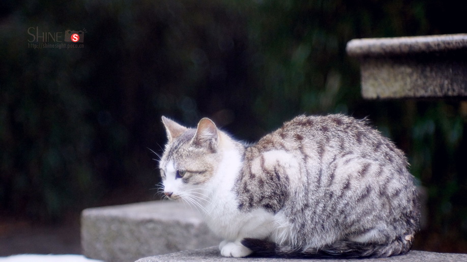 DSC03792_调整大小.jpg