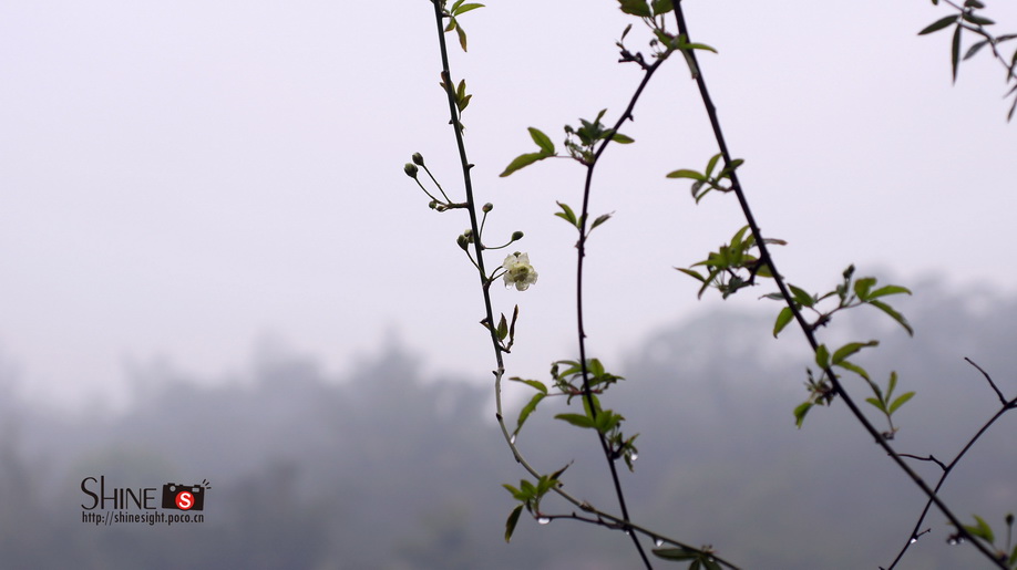 DSC03779_调整大小.jpg