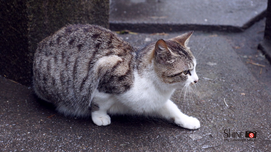 DSC03789_调整大小.jpg