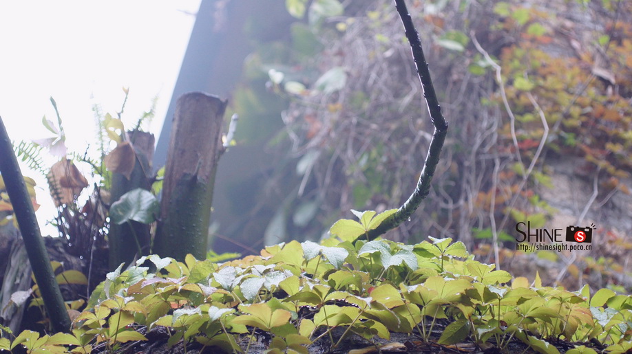 DSC03806_调整大小.jpg
