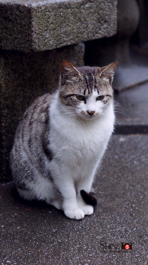 DSC03785_调整大小.jpg