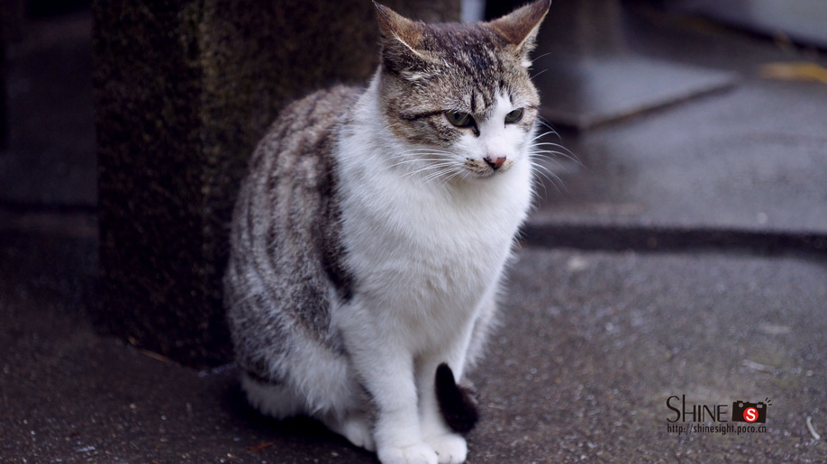 DSC03781_调整大小.jpg