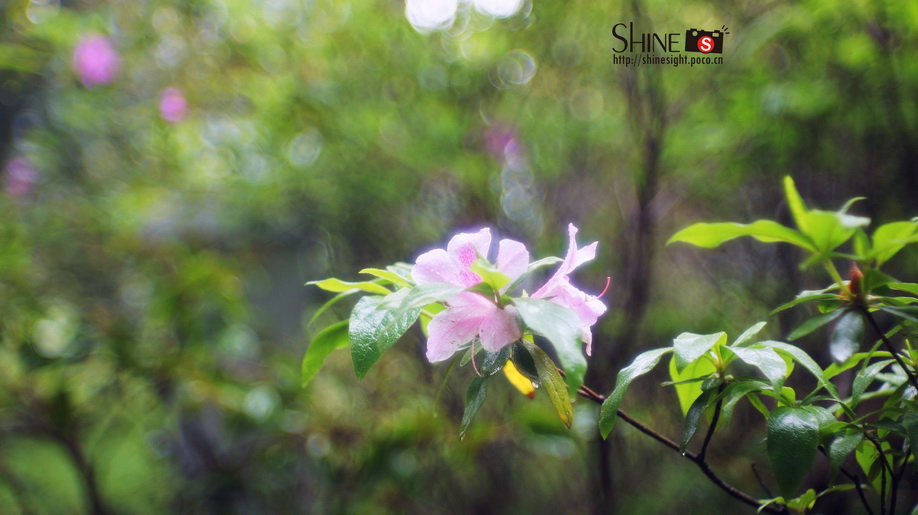 DSC03724_调整大小.JPG