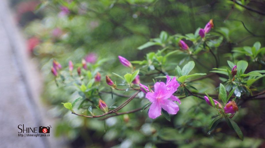 DSC03726_调整大小.JPG