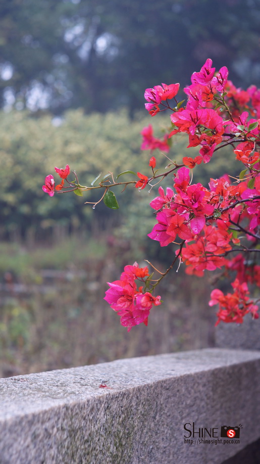 DSC03730_调整大小.JPG