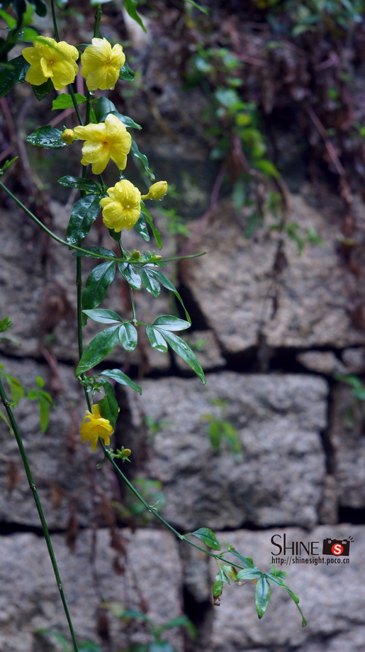 DSC03744_调整大小.jpg