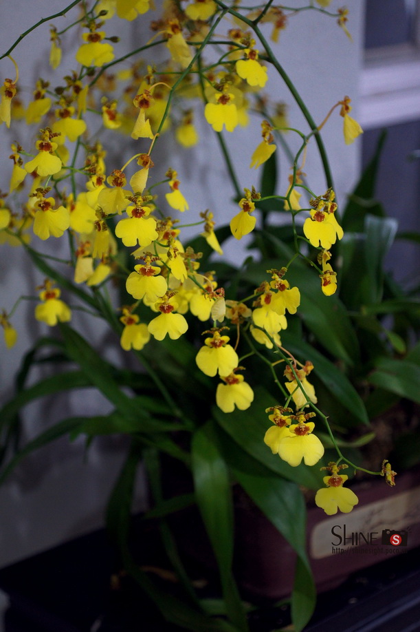 DSC03754_调整大小.JPG